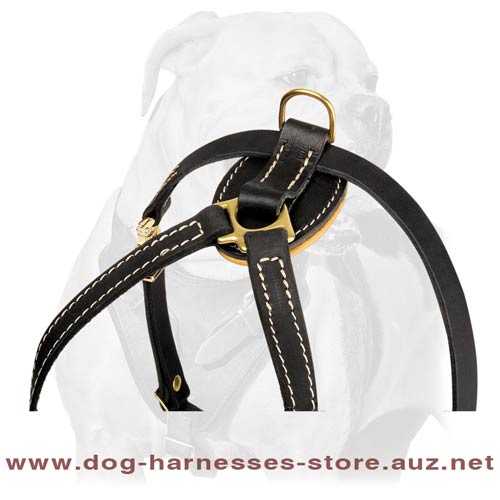 Unusual Leather Puppy Harness