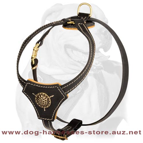 Leather Puppy Harness For Your Champion