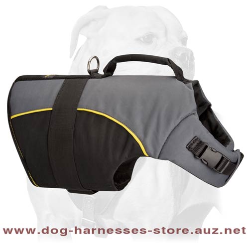 Bylon Harness For Dog Rehabilitation