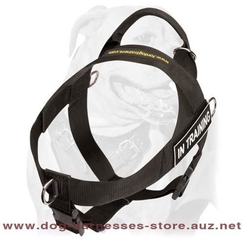 Fair Nylon Dog Harness