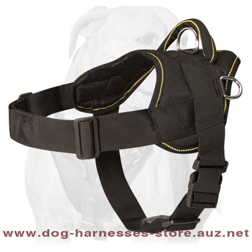 Adjustable Australian Cattle Dog harness-Nylon dog harness for pulling/trac