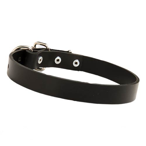 1 inch wide leather dog collar