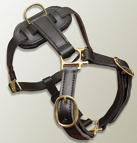 Adjustable Luxury handcrafted dog harness- Great dane