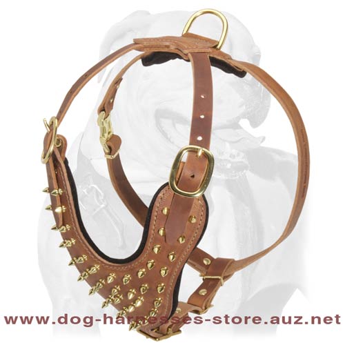 Handmade Brass Spiked Leather Dog Harness