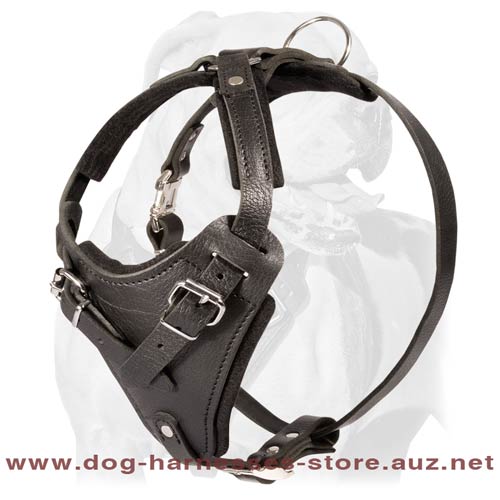 Easily Adjustable Leather Dog Harness