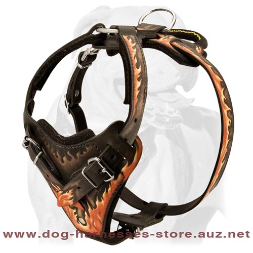 Stylish Leather Dog Harness For Agitation/Attack Work