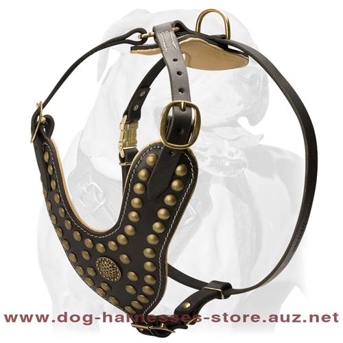 Ergonomic Design Leather Dog Harness