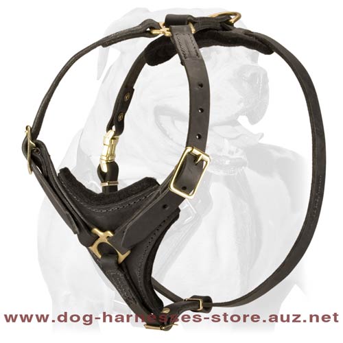 Adjustable Walking Leather Dog Harness