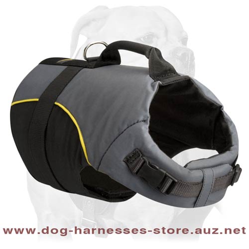 All Weather Nylon Dog Harness With Handle
