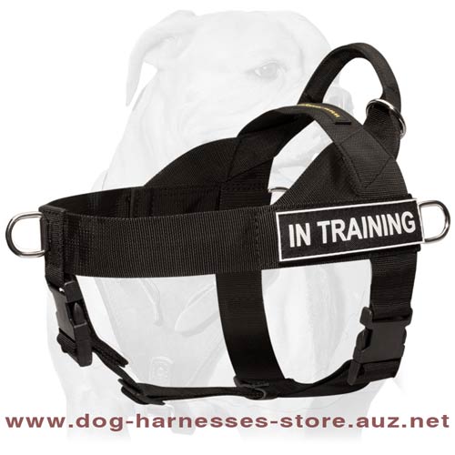 Nylon Dog Harness For Working Canines