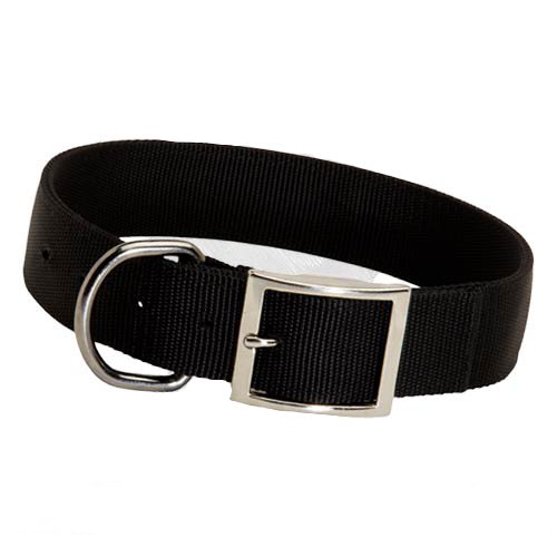 2ply nylon dog collar with D-ring