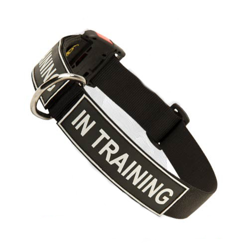 Strong Nylon Dog Collar with Patches and Quick Release Buckle