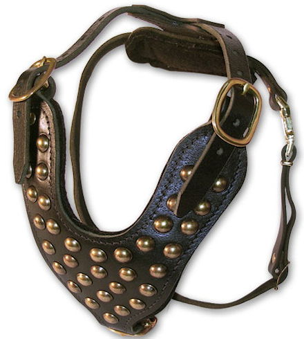 Adjustable Studded Leather Dog Harness - Padded leather dog harness