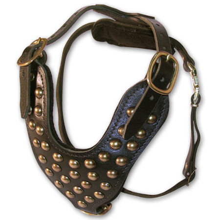 Adjustable Large leather dog harness with studs for Large Dog Breeds