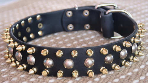 Adjustable 3 Rows brass Leather Spikes & Studded best Dog Collar