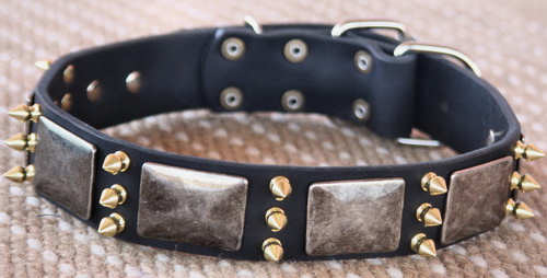 Adjustable Leather Spikes Dog Collar - massive plates+ brass 3 spikes