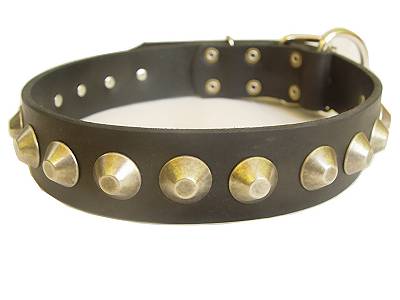 Adjustable Gorgeous Wide Leather Dog Collar With Brass Pyramids