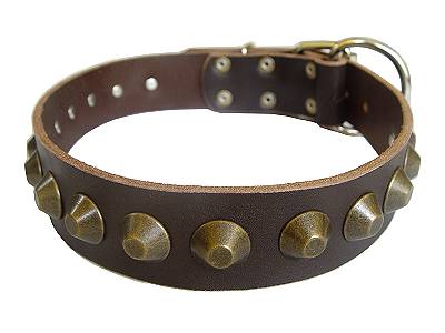 Adjustable Gorgeous Wide Leather Dog Collar - Brown