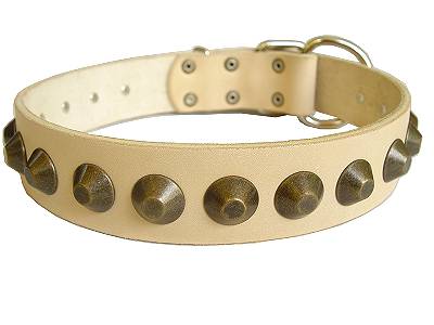 Adjustable Gorgeous Wide Leather Dog Collar - Click Image to Close