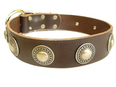 Adjustable Leather Dog Collar with silver conchos
