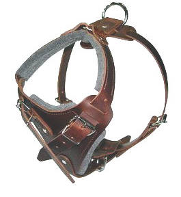 agitation dog training dog harness