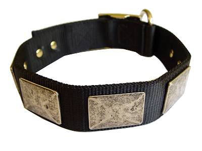 Adjustable Nylon Dog Collar For Large and Medium Breeds With Vintage Plates
