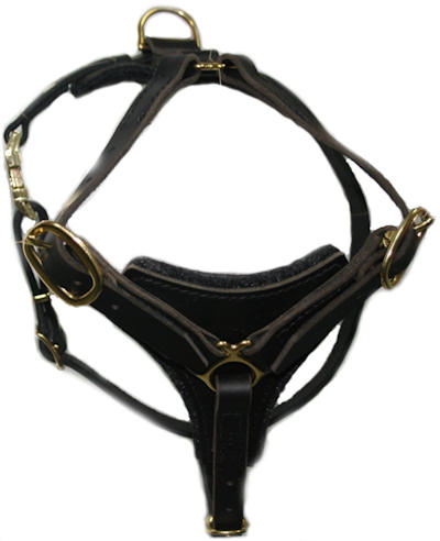 tracking walking dog harness