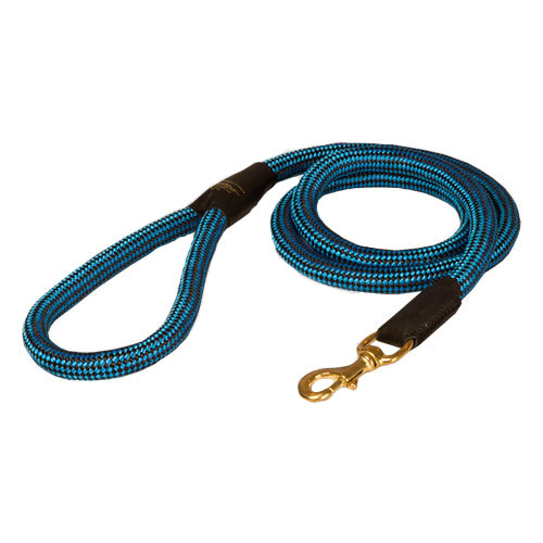 Cord nylon dog leash