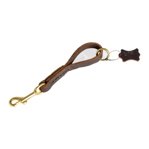 Leather leash with brass fittings