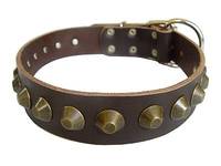 Adjustable Gorgeous Wide Leather Dog Collar - Brown