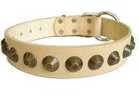 Adjustable Gorgeous Wide Leather Dog Collar