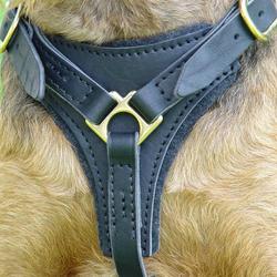 Adjustable Tracking Walking leather dog harness-for German shepherd