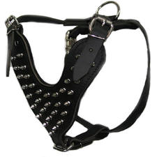 Adjustable Bear Schnauzer Spiked Dog Harness