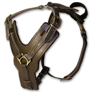 leather dog harness dog