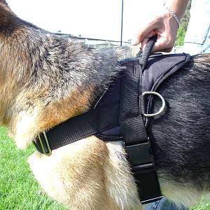 Adjustable Nylon dog harness with handle for k9 dog training