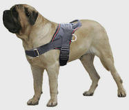 Old English Mastiff Adjustable Nylon multi-purpose dog harness Tracking