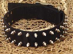 Adjustable Black nylon spiked dog collar-2 Rows of spikes collar