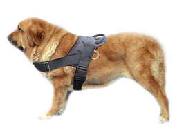Adjustable Nylon multi-purpose dog harness Tracking- Spanish Mastiff