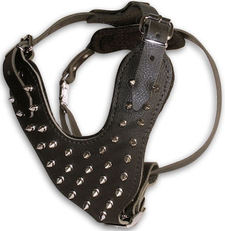 Adjustable Spiked Leather Dog Harness For All Breeds