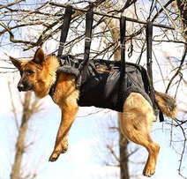 Adjustable Tactical Insertion Harness - Crucial harness in rapid ascending