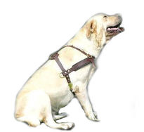 leather dog harness for labrador retriever